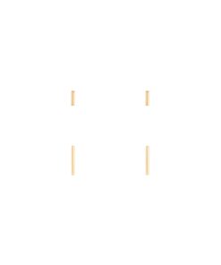 Stick Earrings Duet