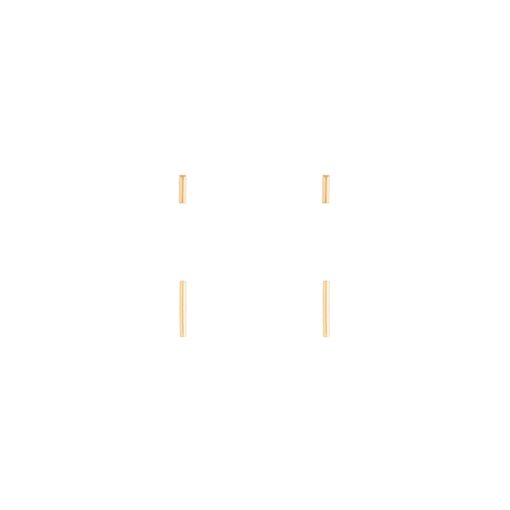 Stick Earrings Duet