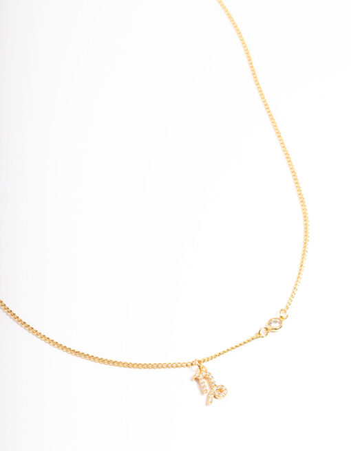 Capricorn Necklace With  Pendant