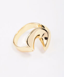 Metal Twisted Ring