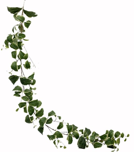 Green Leaf Garland