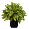 18 Real Plant in Black Metal Planter