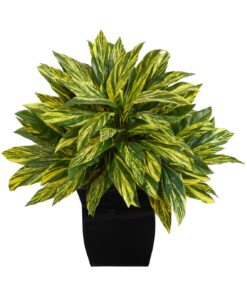18 Real Plant in Black Metal Planter