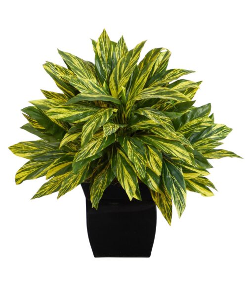 18 Real Plant in Black Metal Planter