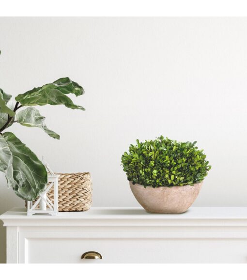 12 Boxwood Preserved Plant in Brown Planter - Image 3